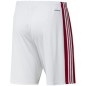 Adidas Squadra 21 Short M GN5770