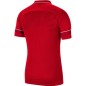 Nike Polo Dry Academy 21 M CW6104 657 T-shirt