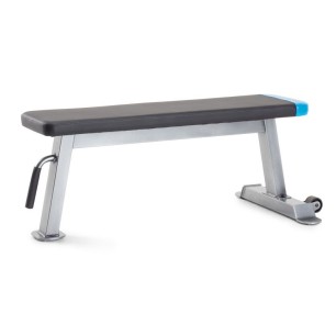 Proform Carbon Strength PFBE09620 horizontal bench