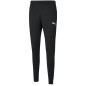 Pantaloni Puma teamRISE Poly Training M 657390 03