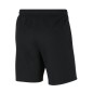 Nike Park 20 Fleece Jr CW6932-010 shorts