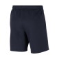 Nike Park 20 Fleece Junior CW6932-451 Shorts