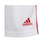 Shorts adidas Squadra 21 Jr GN5763