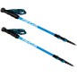 Spokey Carbon 927900 trekking poles