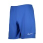 Nike Dry Academy 21 M CW6107-480 Shorts