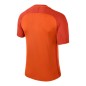 Nike Dry Trophy III Jr 881484-815 T-shirt