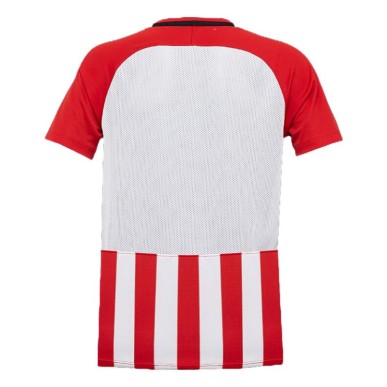 Nike Striped Division Jr 894102-658 football shirt