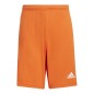 Pantaloncini adidas Squadra 21 Jr GN8082