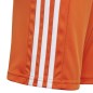 Pantaloncini adidas Squadra 21 Jr GN8082