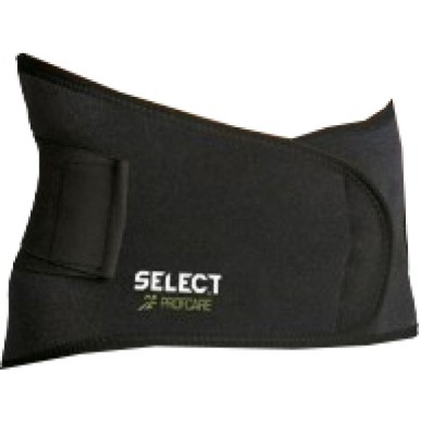 Lumbar support with Select 6411 brace