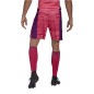 Adidas Condivo 21 M GT8408 Goalkeeper Shorts