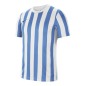 Nike Striped Division IV M CW3813-103 football shirt