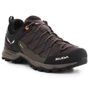 Scarpe da trekking Salewa Mtn Trainer Lite GTX M 61361-7512