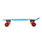 Skateboard Pennyboard Nils Extreme Crude Dragon