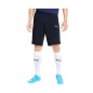 Pantaloncini Puma teamGoal 23 Casuals M 656581-06