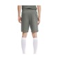 Pantaloncini Puma teamGoal23 Casuals M 656581-33