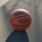 Spalding React TF-250 76803Z basketball