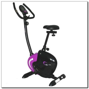 Magnetic bike purple HMS M9239V