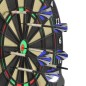 Darts Enero 6 pieces 1032993