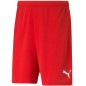 Puma teamRISE Short M 704942 01