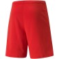 Pantaloncini Puma teamRISE M 704942 01