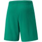 Pantaloncini Puma teamRISE M 704942 05