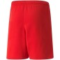 Pantaloncini Puma teamRISE Jr 704943 01