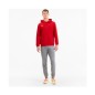 Puma TeamGoal 23 Casuals M 656580-01 sweatshirt