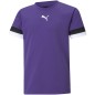 Maglietta Puma teamRise Jersey Jr 704938 10