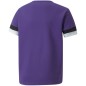 T-shirt Puma teamRise Jersey Jr 704938 10