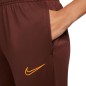 Nike Dri-Fit Academy 21 W Pants CV2665 273