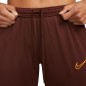 Nike Dri-Fit Academy 21 W Pants CV2665 273