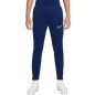 Nike Dri-FIT Academy 21 Pant Kpz Jr CW6124 492