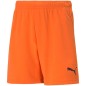 Pantaloncini Puma teamRise Jr 704943 08