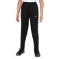 Nike Therma Fit Academy Winter Warrior Jr DC9158-010 pants