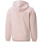 Puma Alpha Hoodie FL Jr 589232 36