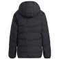 Giacca adidas Frosty Winter Jacket Jr H45034