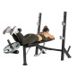 Proform Olympic bench with Sport XT stands