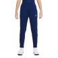 Nike Therma Fit Academy Winter Warrior Jr DC9158-492 pants