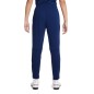 Nike Therma Fit Academy Winter Warrior Jr DC9158-492 pants