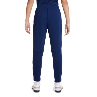 Nike Therma Fit Academy Winter Warrior Jr DC9158-492 pants