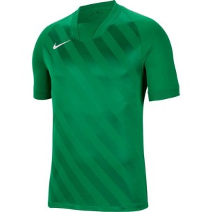 Maglietta Nike Dri Fit Challange 3 Y Jr BV6738 302