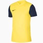 Nike Tiempo Premier II JSY M DH8035 719 T-shirt