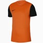 T-shirt Nike Stagione Premier II JSY M DH8035 819