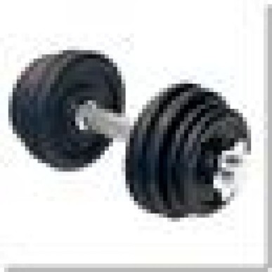 HMS SG01 threaded dumbbell 7 kg