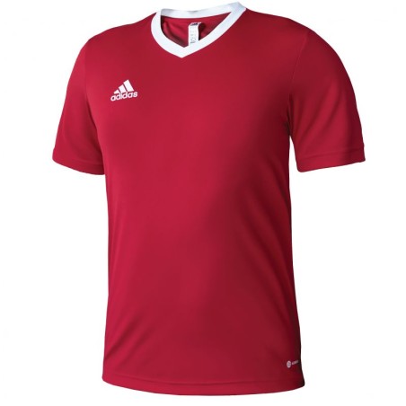 T-shirt adidas Entrada 22 M H61736