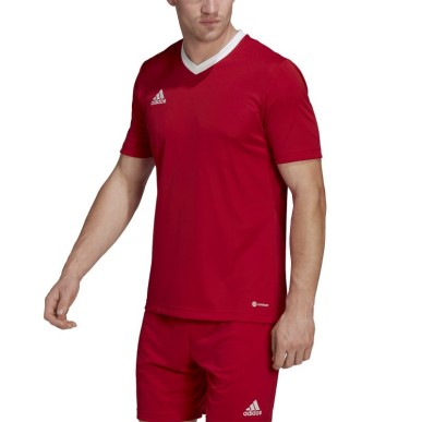 T-shirt adidas Entrada 22 M H61736