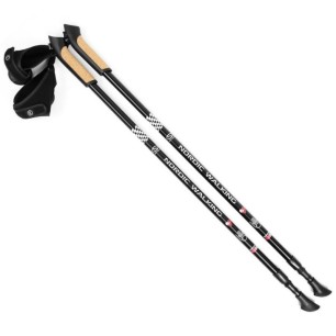 Bastoncini da nordic walking regolabili Long Life SMJ sport HS-TNK-000005637