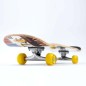 Skateboard SMJ sport BS-Q3108FC Targhe HS-TNK-000011611