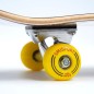 Skateboard SMJ sport BS-Q3108FC Targhe HS-TNK-000011611